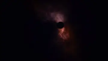 Zasłona do filmu "Drzewo życia" #266193