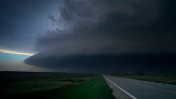 Zasłona do filmu "Drzewo życia" #723945