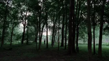 Zasłona do filmu "Drzewo życia" #723963