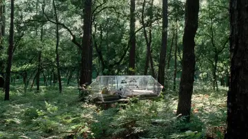 Zasłona do filmu "Drzewo życia" #723970