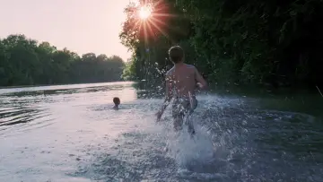 Zasłona do filmu "Drzewo życia" #723973