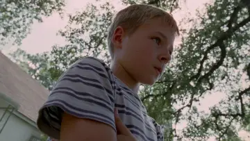 Zasłona do filmu "Drzewo życia" #852790