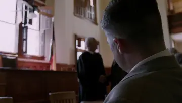 Zasłona do filmu "Drzewo życia" #852793