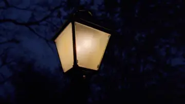 Zasłona do filmu "Drzewo życia" #852797