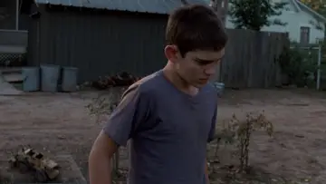 Zasłona do filmu "Drzewo życia" #852800