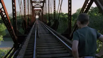 Zasłona do filmu "Drzewo życia" #852802