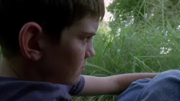 Zasłona do filmu "Drzewo życia" #852809