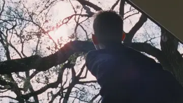 Zasłona do filmu "Drzewo życia" #852814
