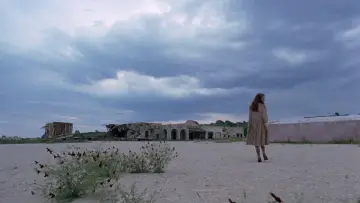 Zasłona do filmu "Drzewo życia" #852820