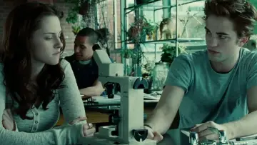 Zasłona do filmu "Zmierzch" #519831