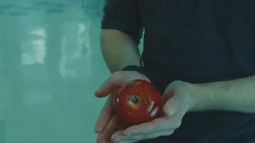 Zasłona do filmu "Zmierzch" #795898