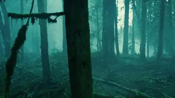 Zasłona do filmu "Zmierzch" #960101