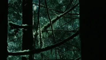 Zasłona do filmu "Zmierzch" #960103