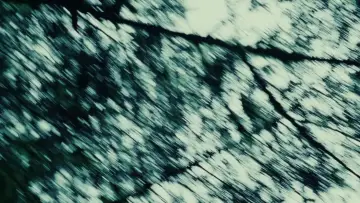 Zasłona do filmu "Zmierzch" #960104