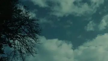 Zasłona do filmu "Zmierzch" #960105