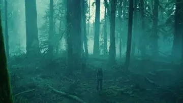 Zasłona do filmu "Zmierzch" #960115
