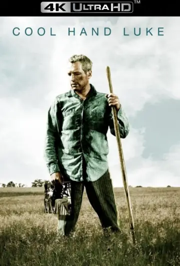 Plakat do filmu "Nieugięty Luke" #102979