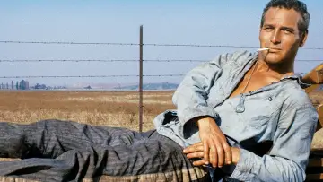 Zasłona do filmu "Nieugięty Luke" #188451