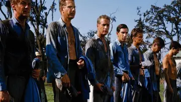 Zasłona do filmu "Nieugięty Luke" #188459
