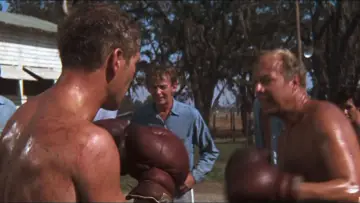 Zasłona do filmu "Nieugięty Luke" #188468