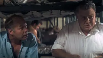Zasłona do filmu "Nieugięty Luke" #188469