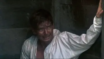 Zasłona do filmu "Nieugięty Luke" #188476