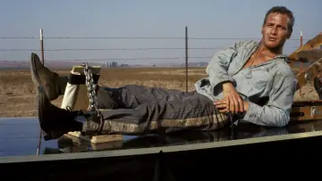 Zasłona do filmu "Nieugięty Luke" #410433