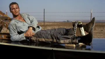 Zasłona do filmu "Nieugięty Luke" #410434