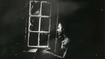 Zasłona do filmu "Głowa do wycierania" #218905