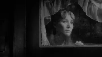 Zasłona do filmu "Głowa do wycierania" #218906
