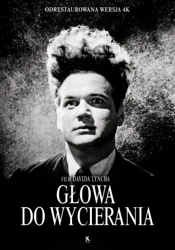 Głowa do wycierania