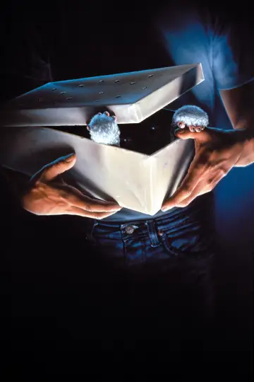 Plakat do filmu "Gremliny rozrabiają" #240444