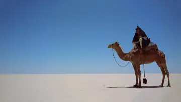 Zasłona do filmu "Lawrence z Arabii" #402017