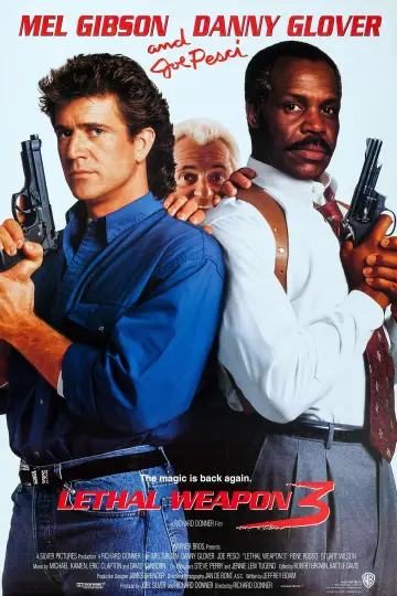 Plakat do filmu "Zabójcza broń 3" #96051