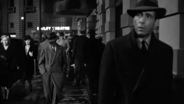Zasłona do filmu "Sokół maltański" #1180425