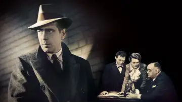 Zasłona do filmu "Sokół maltański" #189080