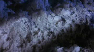 Zasłona do filmu "Różowa Pantera" #876053