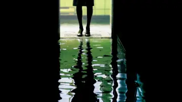 Zasłona do filmu "Dark Water - Fatum" #357219