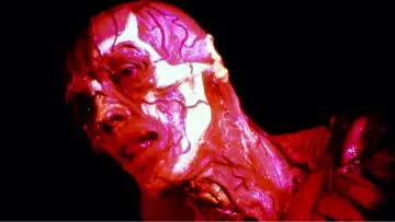 Zasłona do filmu "Hellraiser. Wysłannik Piekieł" #256107