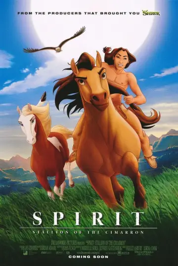 Plakat do filmu "Mustang z Dzikiej Doliny" #803024