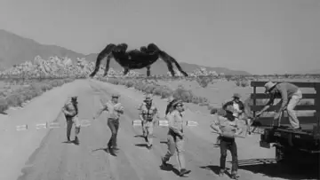Zasłona do filmu "Tarantula" #382794