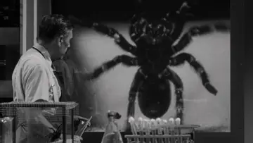 Zasłona do filmu "Tarantula" #721406