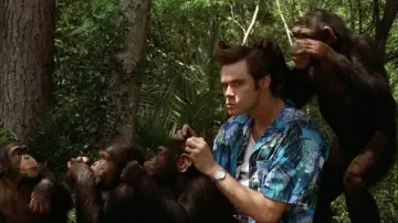 Zasłona do filmu "Ace Ventura: Zew natury" #1207877