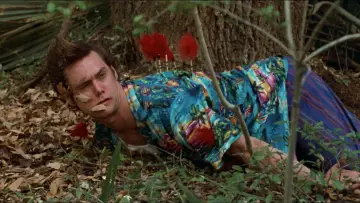 Zasłona do filmu "Ace Ventura: Zew natury" #1207881