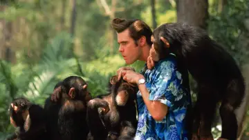 Zasłona do filmu "Ace Ventura: Zew natury" #291256