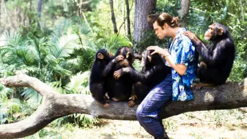 Zasłona do filmu "Ace Ventura: Zew natury" #669313