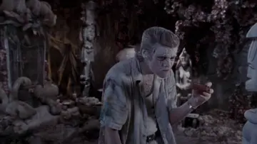Zasłona do filmu "Ace Ventura: Zew natury" #808885