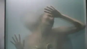 Zasłona do filmu "Femme Fatale" #966111