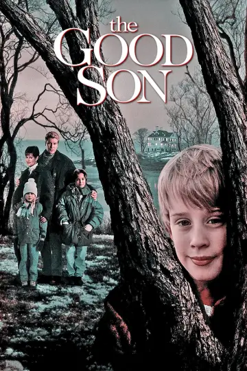 Plakat do filmu "Synalek" #78310