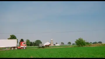 Zasłona do filmu "Świadek" #672978